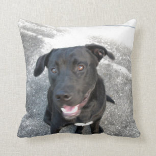 Cojín Decorativo Midnight el Labrador Negro Sonríe