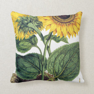 Cojín Decorativo Miller: Girasol