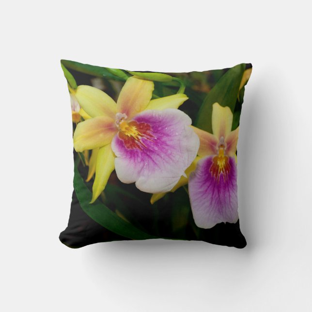 Cojín Decorativo Miltonia Sunset (Anverso)