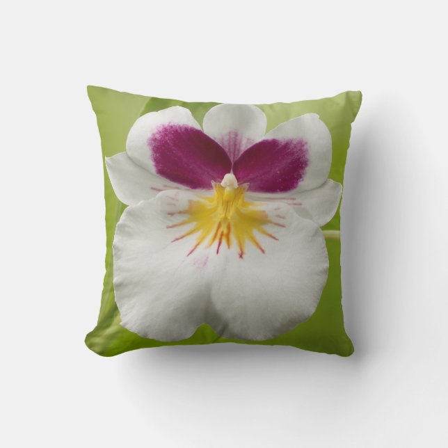 Cojín Decorativo Miltoniopsis Roezlii (Pansy Orchids) (Anverso)