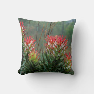 Cojín Decorativo Mimetes comunes (Mimetes Cucullatus)