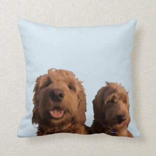 Cojín Decorativo Mini goldendoodles