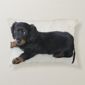Cojín Decorativo Mini perrito de pelo largo del Dachshund