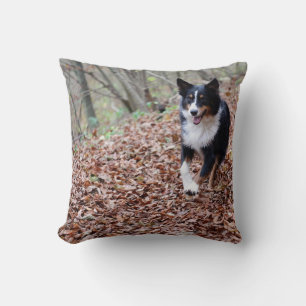Cojín Decorativo Miniature American Shepherd Black Tri Corriendo