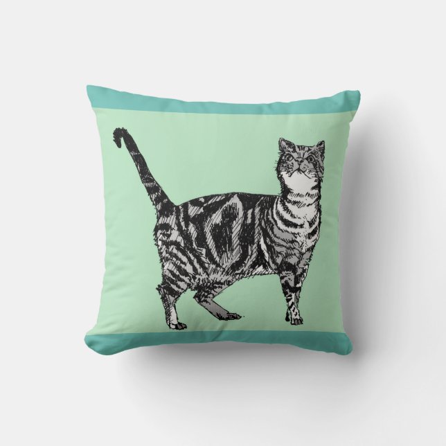 Cojín Decorativo Mint Tabby Gatos Gatos mascota animal Cushion (Anverso)
