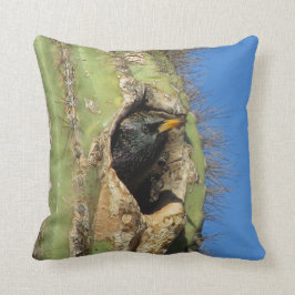 Cojín Decorativo Mirando en Saguaro Cactus. Foto de pájaro suroeste