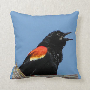 Cojín Decorativo Mirlo de alas rojas
