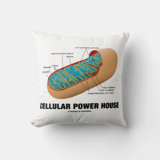 Cojín Decorativo Mitochondrion de Cellular Power House