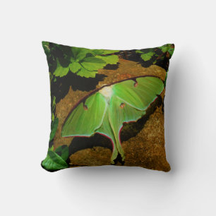 Cojín Decorativo Moda Luna Verde