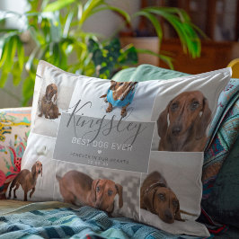 Cojín Decorativo Moda Mejor Perro | Pérdida del Mascota de Collages