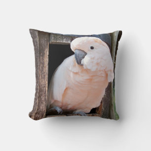 Cojín Decorativo Moluccan Cockatoo