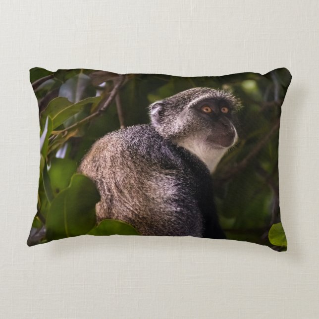 Cojín Decorativo Mono azul, Zanzíbar (Reverso)