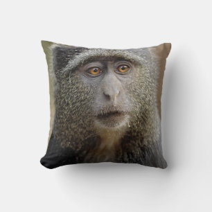 Cojín Decorativo Mono de Sykes o mono azul, Cercopithecus mitis,