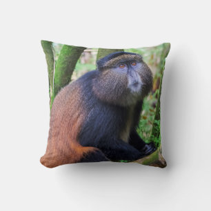 Cojín Decorativo Mono dorado, Ruanda