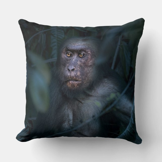 Cojín Decorativo Mono en la selva (Anverso)