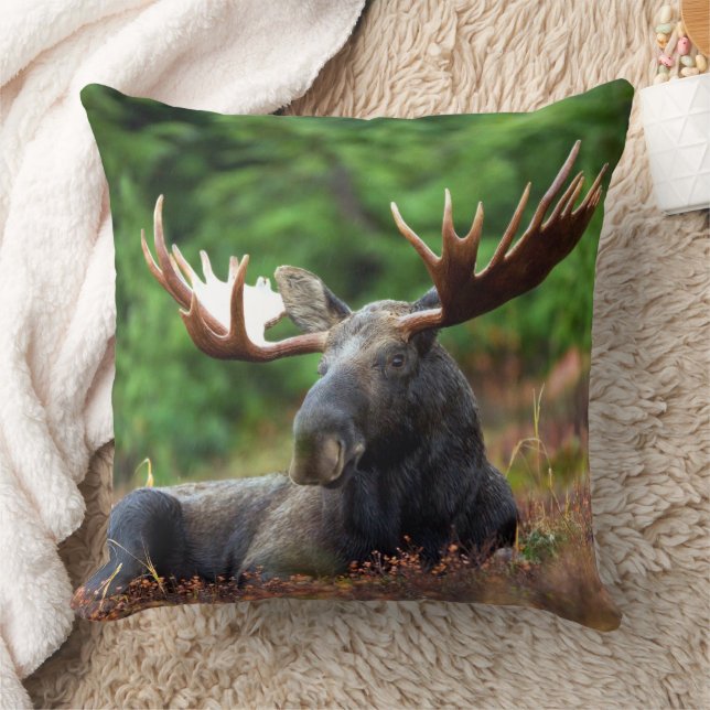 Cojín Decorativo Moose (Manta)