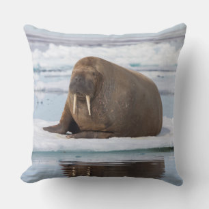 Cojín Decorativo Morsa descansando sobre hielo, Noruega