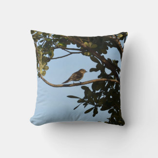 Cojín Decorativo Mosquitero común