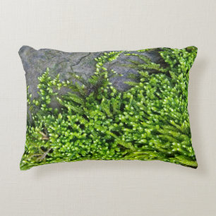 Cojín Decorativo Moss on stone (Entodon seductrix)