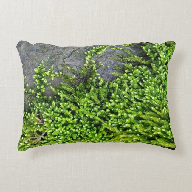 Cojín Decorativo Moss on stone (Entodon seductrix) (Anverso)