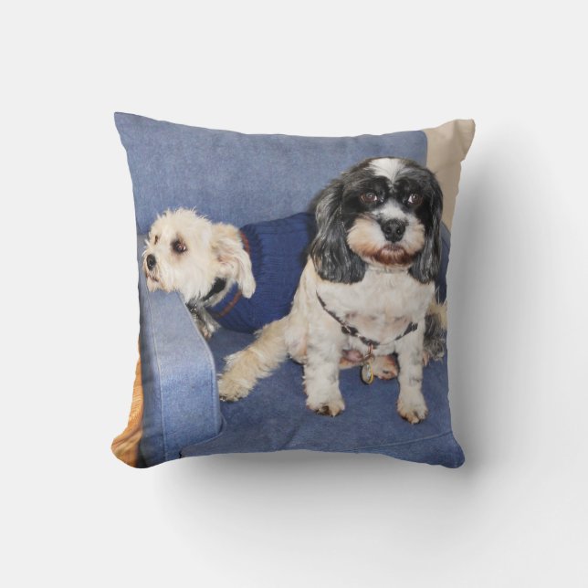 Cojín Decorativo Muggles - Lasa Apso (Anverso)