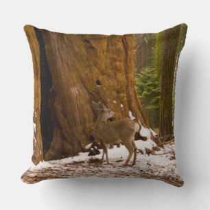Cojín Decorativo Mule Deer