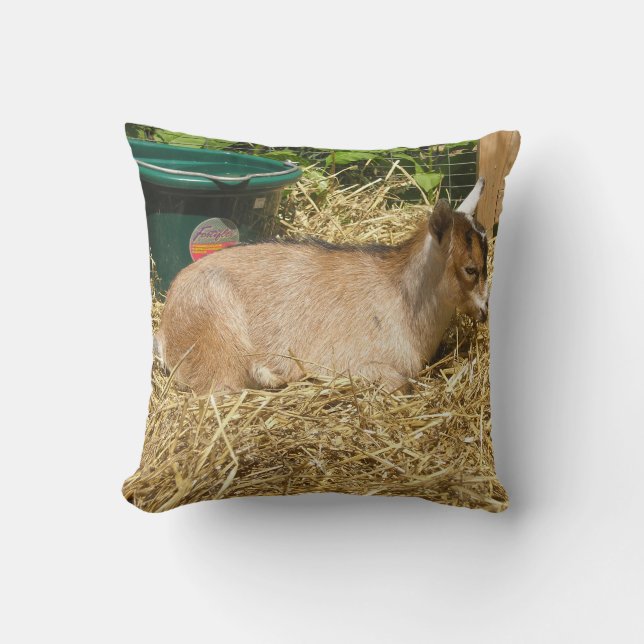 Cojín Decorativo Murphy (Anverso)