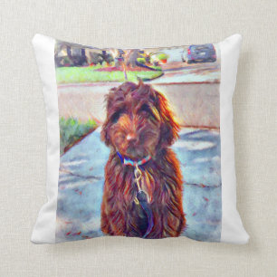 Cojín Decorativo Murphy the Labradoodle