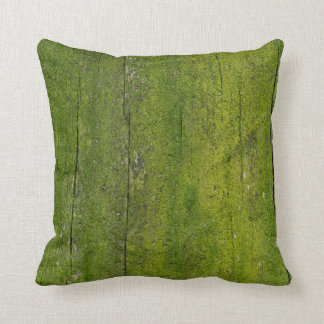 Cojín Decorativo musgo sobre textura de madera
