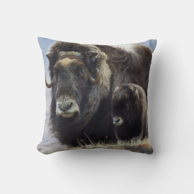 Cojín Decorativo Musk Ox con ternera (Anverso)