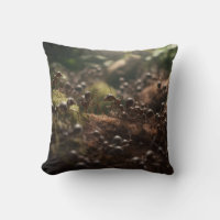 Mystic Ant Hill