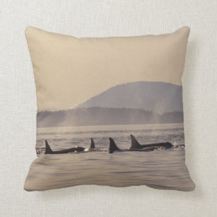 Cojín Decorativo N.A., orca de los E.E.U.U., Washington, islas de