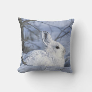 Cojín Decorativo NA, EE. UU., Alaska. Vida Silvestre Ártica Naciona