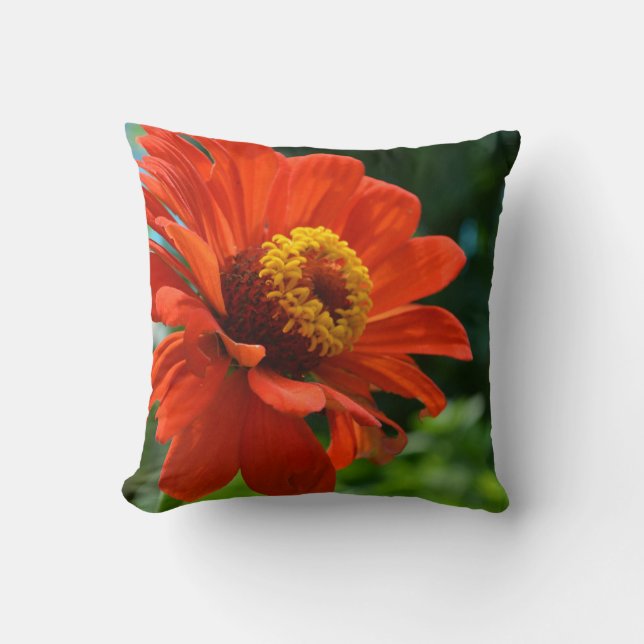 Cojín Decorativo Naranja daisy, zinnia, cosmo (Anverso)