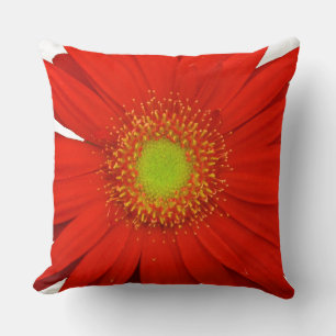 Cojín Decorativo Naranja Gerbera Daisy Flower