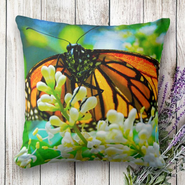 Cojín Decorativo Naranja monarca foto mariposa flor blanca negrita (Subido por el creador)