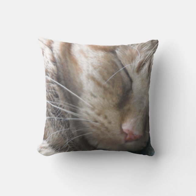 Cojín Decorativo Naranja Tabby Cat (Anverso)