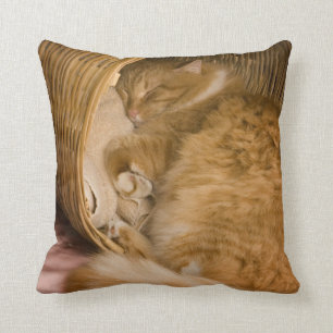 Cojín Decorativo Naranja tabby durmiendo en un canto