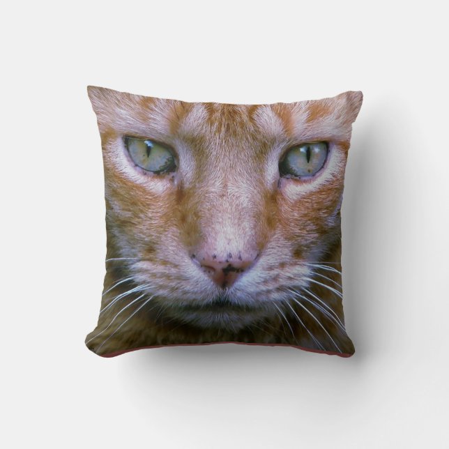 Cojín Decorativo Naranja Tabby Pillow (Anverso)