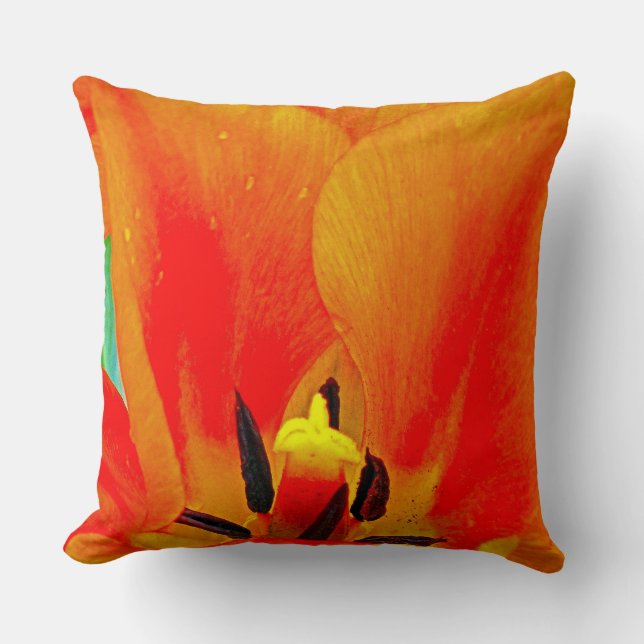Cojín Decorativo Naranja Tulip (Anverso)