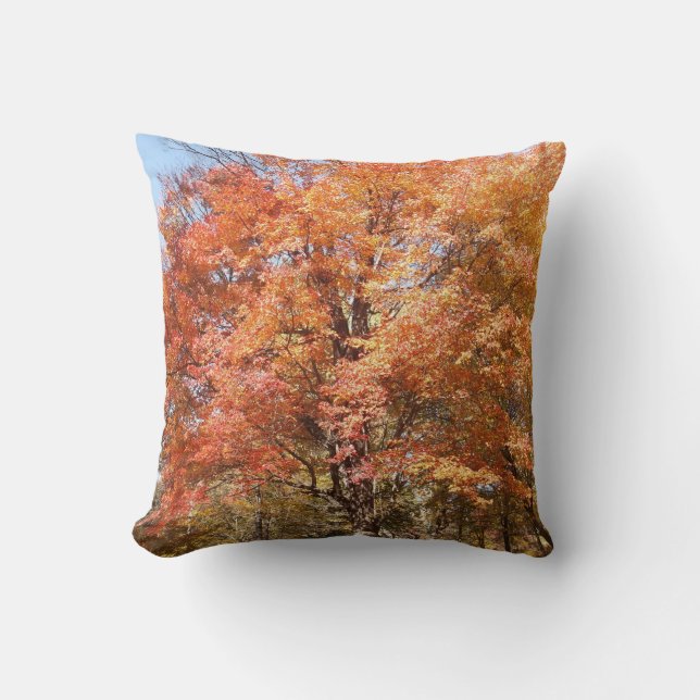 Cojín Decorativo Naranjos (Anverso)