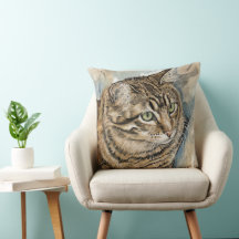 Nari- Un estudio de mi gato