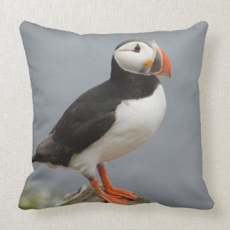 Cojín Decorativo Naturaleza del antártico del pájaro del