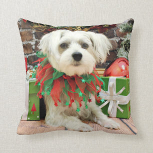 Cojín Decorativo Navidad - maltés - Óscar