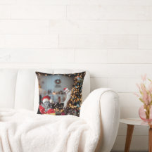 Navidades de "Crazy Animal House"