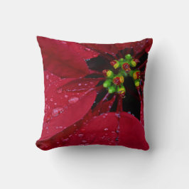 Cojín Decorativo Navidades rojos Poinsettia