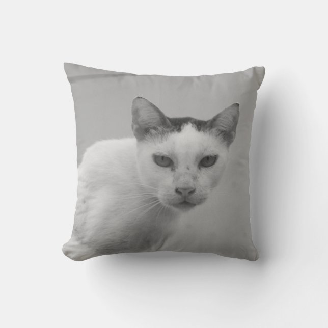 Cojín Decorativo Negro y blanco - Cat 02 (Anverso)