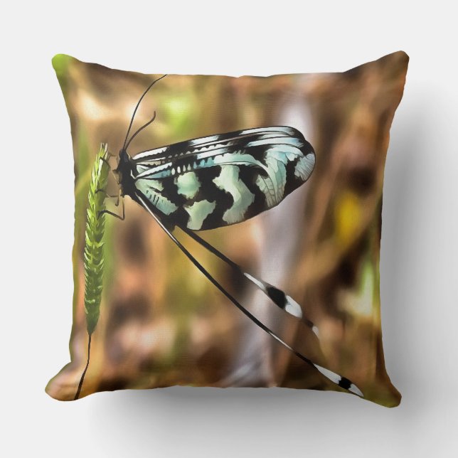 Cojín Decorativo Nemoptera bipennis Spoon-Winged Insect Art (Anverso)
