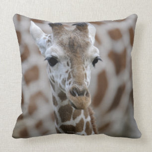 Cojín Decorativo Netzgiraffe, reticulata de los camelopardalis del