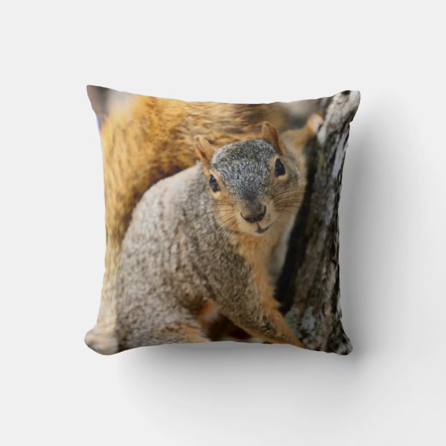 Cojín Decorativo ¿No vienes? (Anverso)